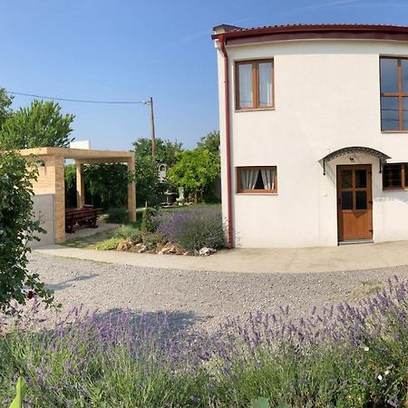 Fruska Gora Guesthouse Ürög Kültér fotó