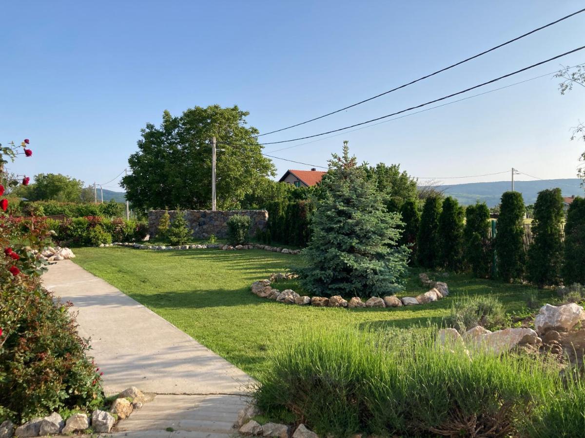 Fruska Gora Guesthouse Ürög Kültér fotó