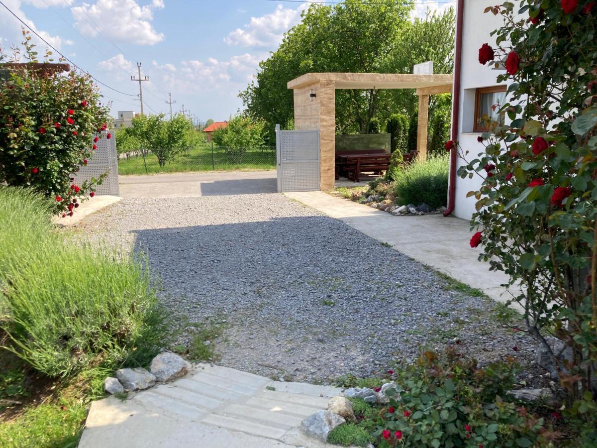 Fruska Gora Guesthouse Ürög Kültér fotó