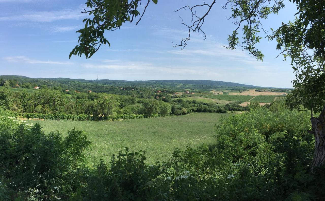 Fruska Gora Guesthouse Ürög Kültér fotó