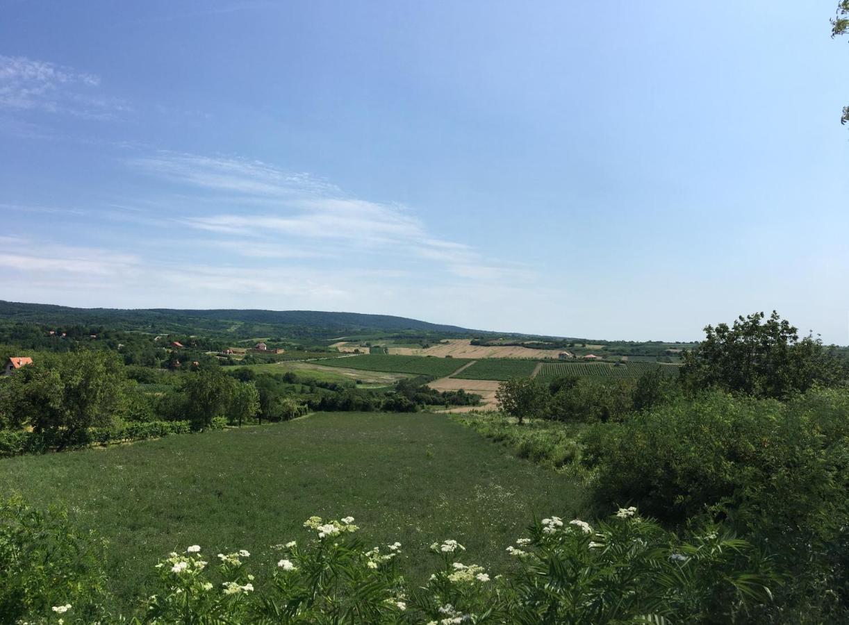 Fruska Gora Guesthouse Ürög Kültér fotó